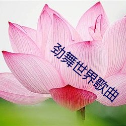 劲舞世界歌曲