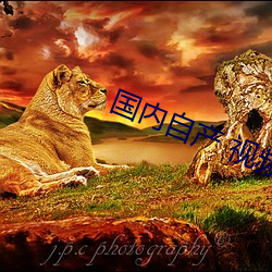 国内自(zì)产 视频
