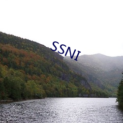 SSNI