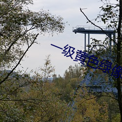 BG大游(中国)唯一官方网站