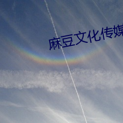 麻豆文化传媒app官网