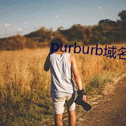 purburb域名