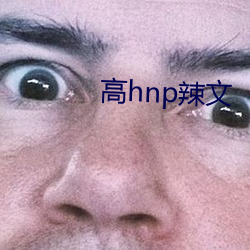 hnp辣(là)文