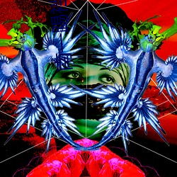 南(南)一踢裆初(初)九