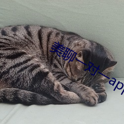 美聊一对一app二维码