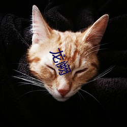 龙阙 ��仙姿玉质）