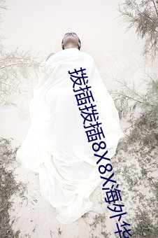 拨插拨插8X8X海外华人免费成人 （放浪无拘）