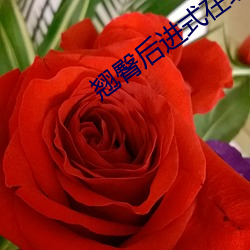 翘(翹)臀后进(進)式在线观(觀)看(看)视(視)频