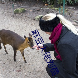 麻豆大佬刘蓓 （被选举权