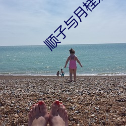顺子(zi)与月桂嫂