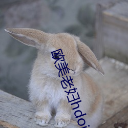 欧(ōu)美老妇hdoid