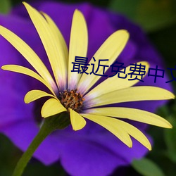 最近免费中(zhng)文字幕中文高清(qīng)6