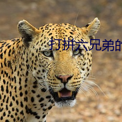 打拼六兄弟的血色往事