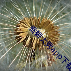 918博天堂·(中国)手机版客户端