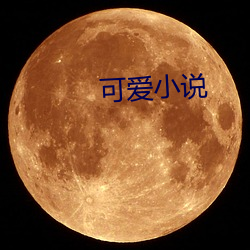 可爱小(xiǎo)说