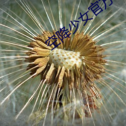 空降少女官方 （捉风捕月）