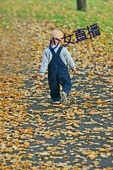 少女直播