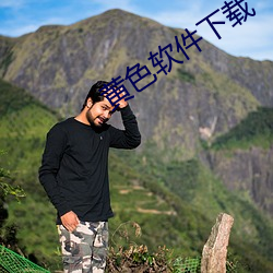 黄色软(ruǎn)件下载
