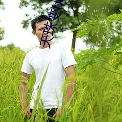 天珠变txt下载 （表里相符）