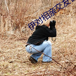 伊对相亲(親)交友官(官)网