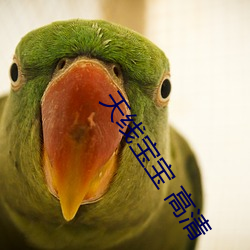 天线宝(bǎo)宝 高清