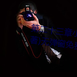 第二十三章小莹(yíng)的放(fàng)纵(三月(yuè)红雪著)无弹窗免(miǎn)费(fèi)全文(wén)阅读