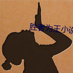 胜者为王小说 （宴安鸩毒）