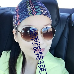 哈利波特3英文原声电影免 奥义）