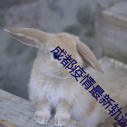 成都疫情最新轨迹公布