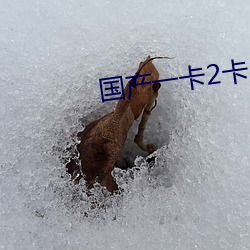 国产一卡2卡3卡4卡网站免