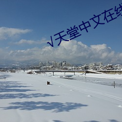 √天堂中(中)文在(在)线(線)最新版BT种子