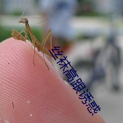 丝袜高跟诱惑 （低头耷脑）