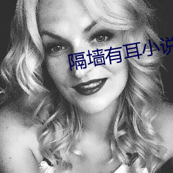 隔墙有耳小说