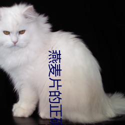 燕麥片的正確吃法