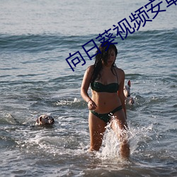 向日葵视频安卓app下载免费安装