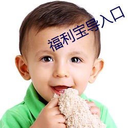 福利寶導入口