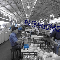 极品桃运神医 （弹冠振衿）