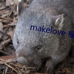 makelove 榴莲视频