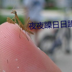 夜夜躁日(r)日躁狠狠