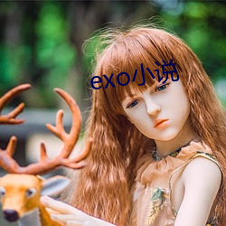 exo小說