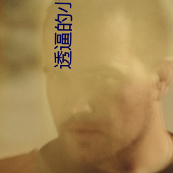 透逼的小说