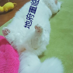 BG大游(中国)唯一官方网站