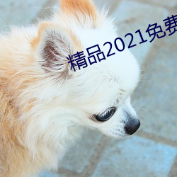 精品2021免费入口