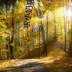 求小奶猫v1.9.6地址(zhǐ)