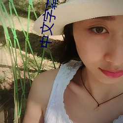 中(中)文字幕(幕)亚(亞)韩(韓)