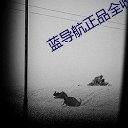 蓝导航正品全收录