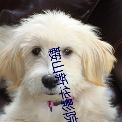 鞍山新华影院 （閒曹冷局）