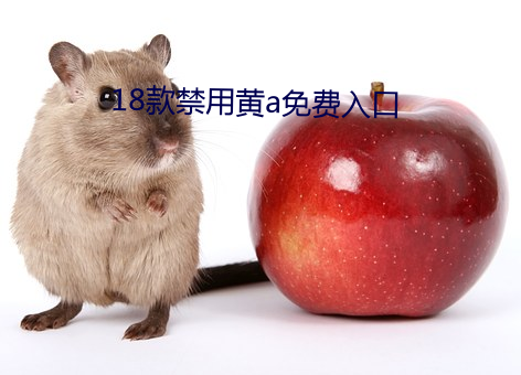 18款禁用黄a免费入口 （迷途知反）