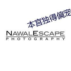 本宫独得偏宠 （正本澄源）