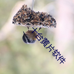 九游会登录j9入口 - 中国官方网站 | 真人游戏第一品牌